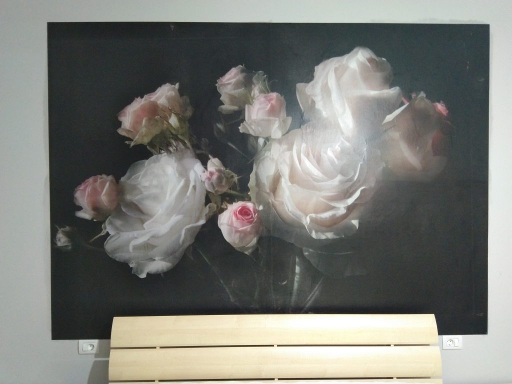 lucrari-montaj-tapet--fototapet-timisoara-flori